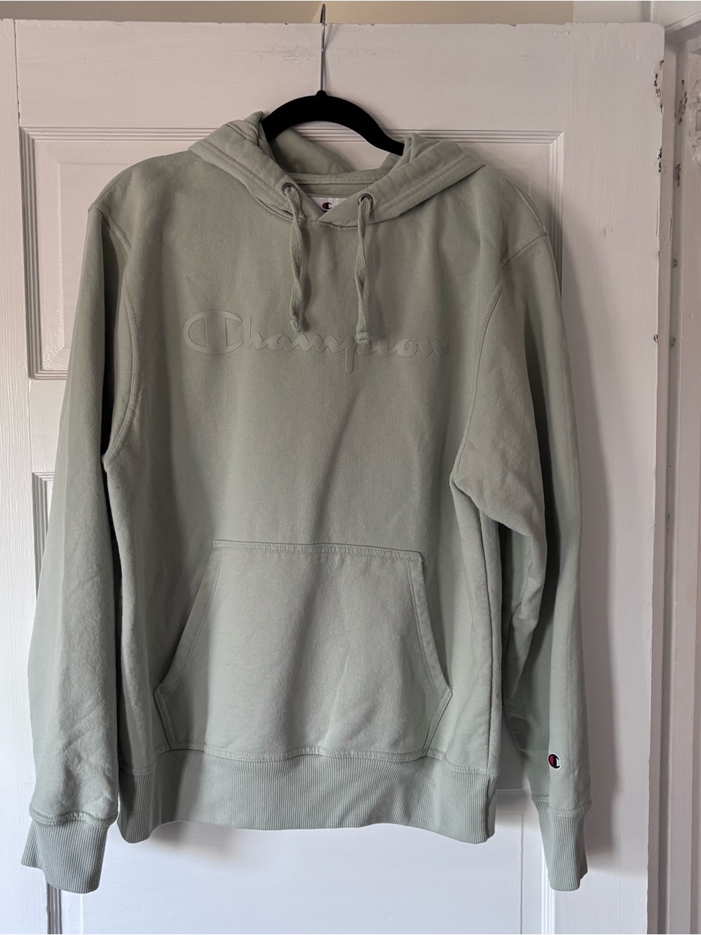 Champion Light Sage Green Pullover Hoodie